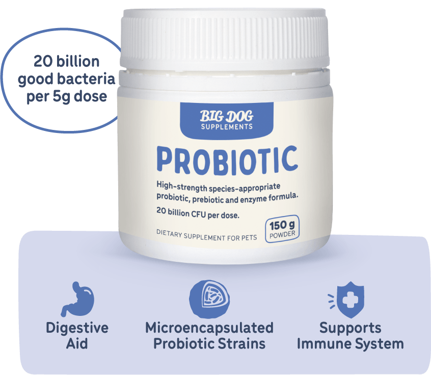 Which Big Dog Probiotic supplement is right for my dog? Guides Big